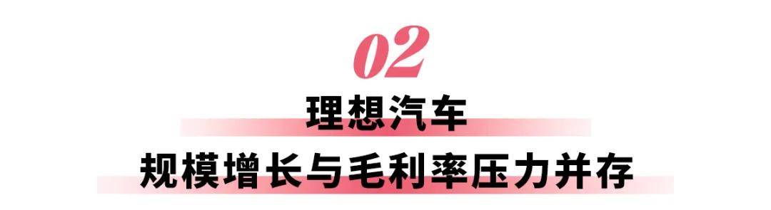 新势力2024财报：小米毛利逼近理想，小鹏又“肥”来了
