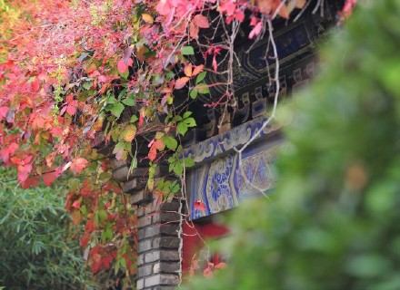 2018处暑节气风景图片大全高清 二十四节气之处暑图片唯美好看