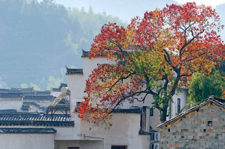 2018处暑节气风景图片大全高清 二十四节气之处暑图片唯美好看