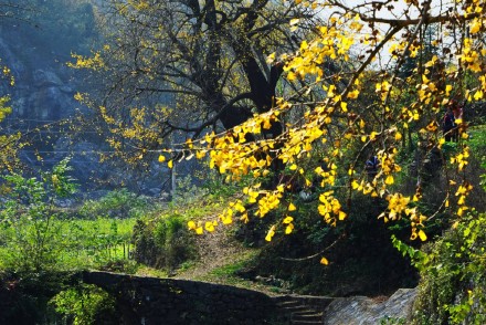 2018处暑节气风景图片大全高清 二十四节气之处暑图片唯美好看