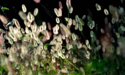 2018处暑节气风景图片大全高清 二十四节气之处暑图片唯美好看