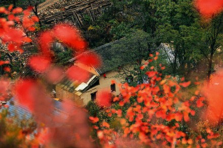 2018处暑节气风景图片大全高清 二十四节气之处暑图片唯美好看