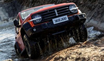 坦克300真实油耗多少 坦克300油耗多少钱一公里（约8毛）