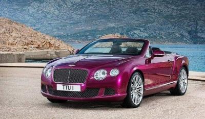 宾利左右两边多少羽毛