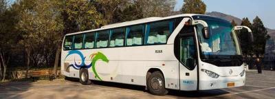 可以直接考a1驾照吗？考a1驾照用处大吗？