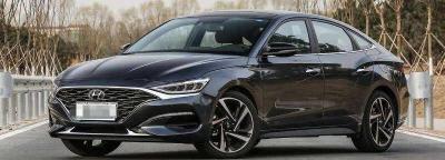 为什么菲斯塔不建议买，国外为什么禁售菲斯塔