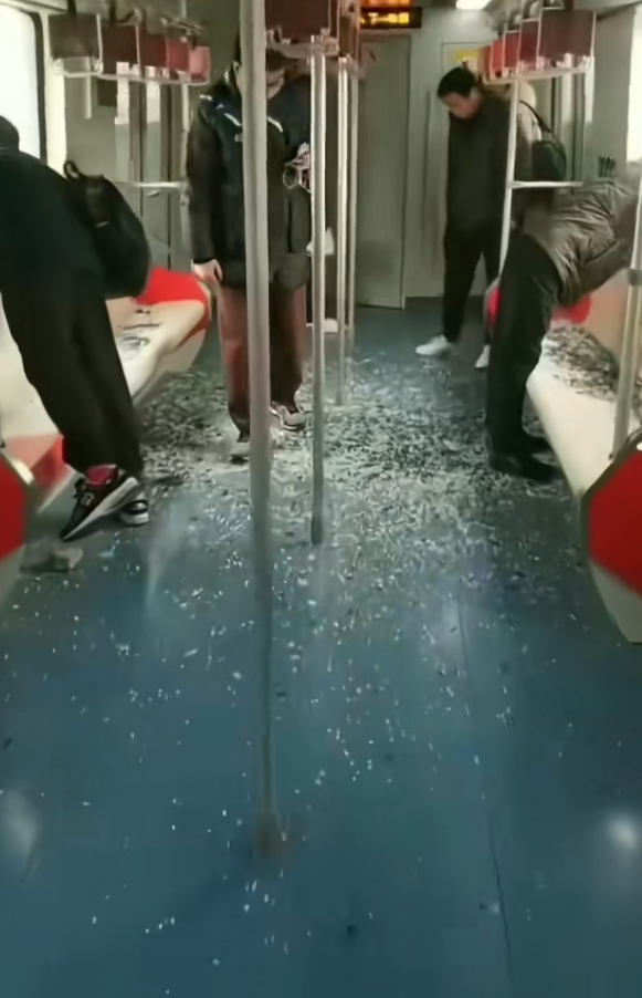 损失1800多万！上海地铁11号线遭起重机侵入直接原因公布