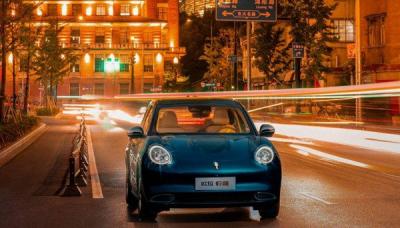 欧拉好猫怎么样值得买吗？买欧拉好猫十大忠告