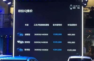 欧拉iQ多少钱 欧拉iQ性价比如何