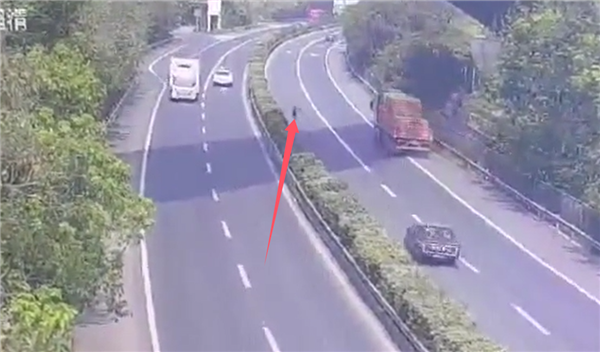 高速上一货车轮胎脱落滚进服务区撞人致死：官方通报已出