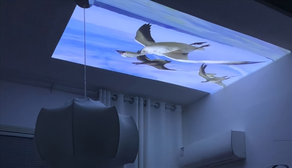 2025年宿舍投影仪选购推荐：当贝Smart1打造专属影音小天地