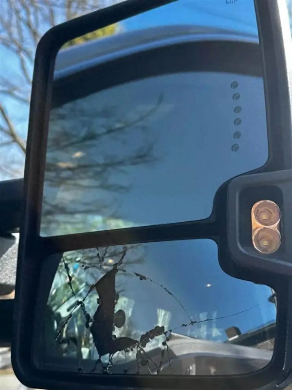 求偶季太疯狂！啄木鸟把镜中像误认为情敌 啄坏25辆汽车玻璃