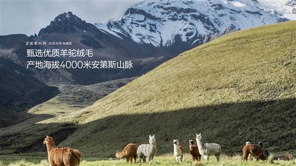 国产最强超豪华MPV 极氪009光辉典藏版亮相：用了3克24K纯金