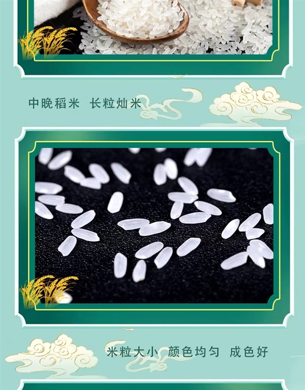 湖北省粮油集团出品：秋慕思田冷水晚籼米24.9元10斤