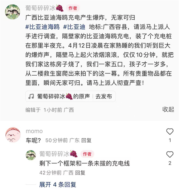 造谣海鸥起火 比亚迪法务部：该网民已被行拘
