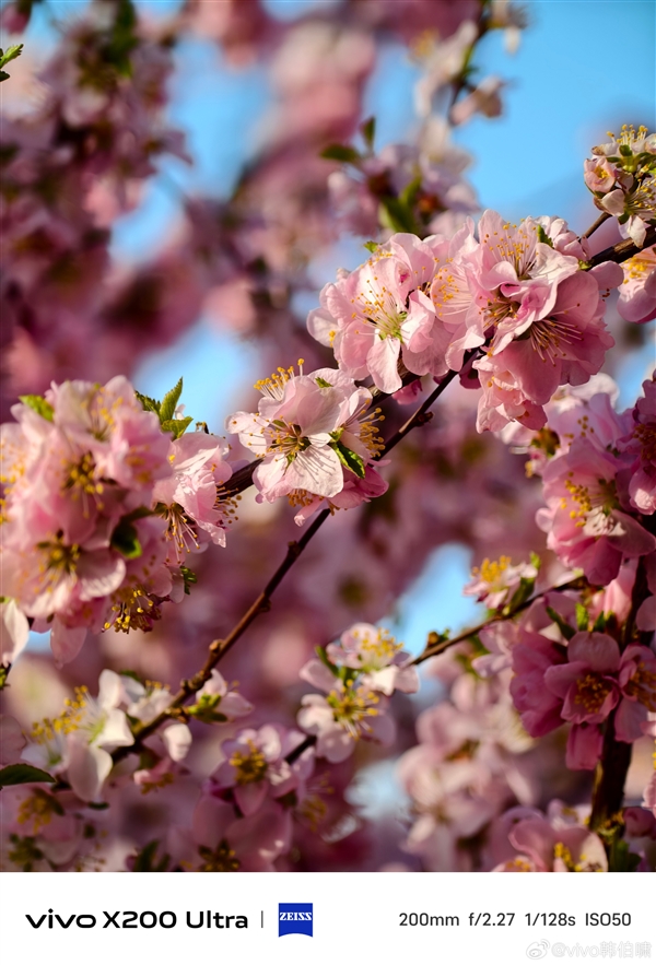 机圈远摄之王！vivo X200 Ultra 70倍长焦样张出炉：细节震撼
