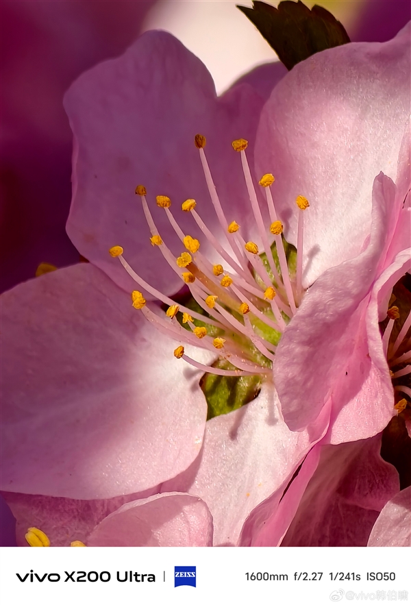 机圈远摄之王！vivo X200 Ultra 70倍长焦样张出炉：细节震撼