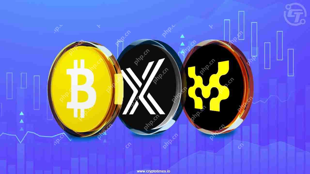 自2月下旬以来，比特币首次中断了$ 97,000