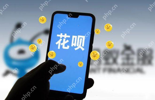 揭秘！让花呗额度飙升的高效提额法