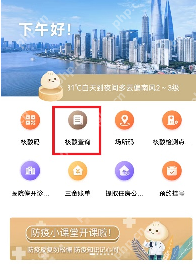 支付宝核酸码结果怎么看