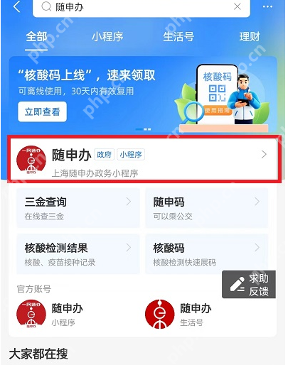 支付宝核酸码结果怎么看