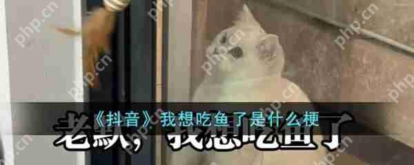 我想吃鱼了梗百科