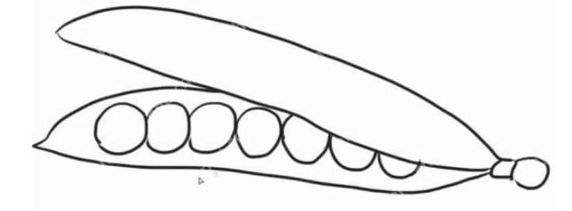 qq画图红包豌豆怎么画？QQ画图红包所有图案画法汇总