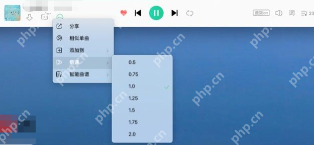 QQ音乐macOS倍速播放怎么设置