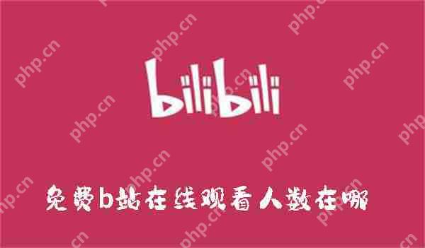 免费b站在线观看人数在哪