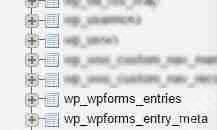 如何在 WordPress 数据库中保存联系表单数据