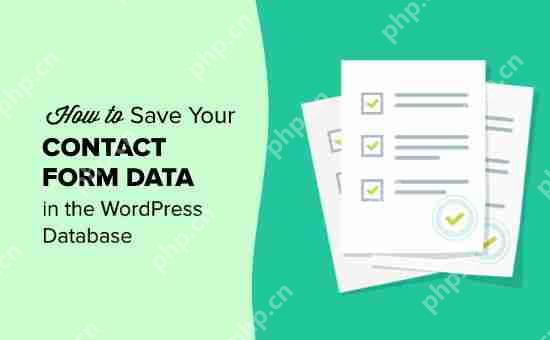 如何在 wordpress 数据库中保存联系表单数据