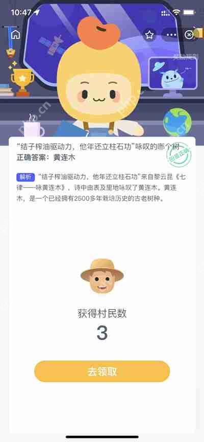 结子榨油驱动力是什么树