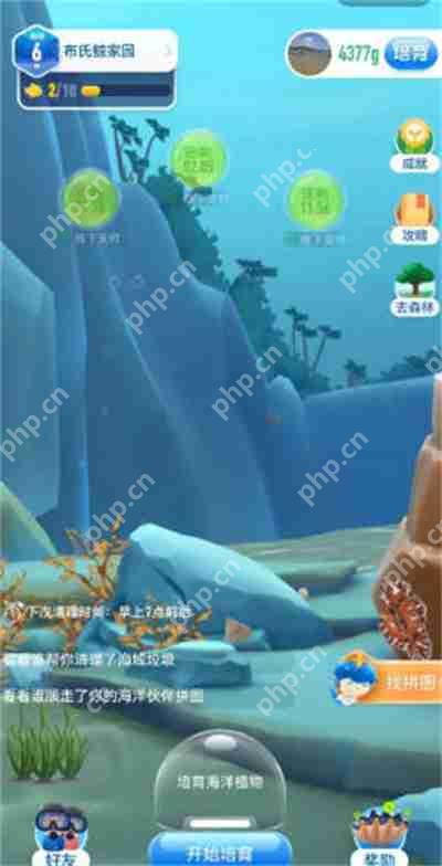 支付宝神奇海洋11.27答案是什么