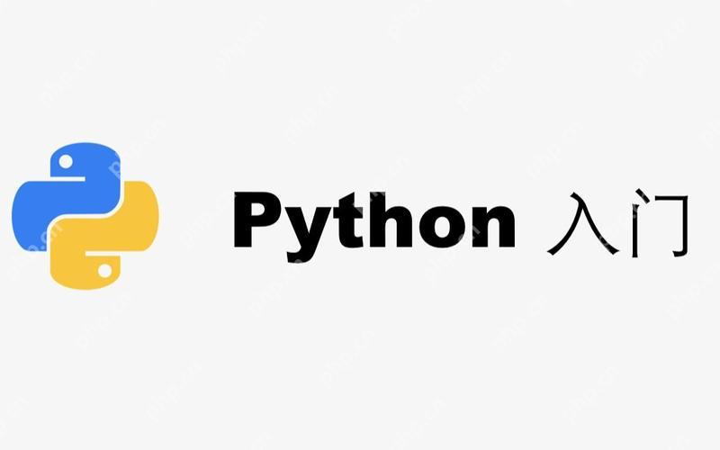 python中text函数的语法 python文本处理text函数参数解析