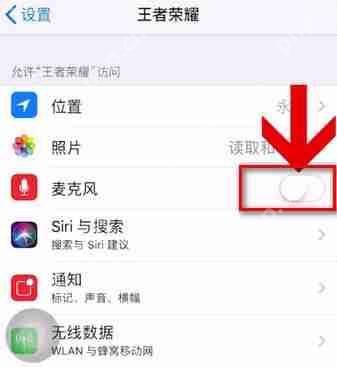 王者荣耀不能语音怎么解决？解决王者荣耀不能语音的方法说明