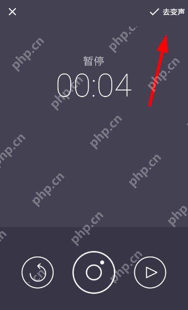 专业变声器APP怎么使用？专业变声器使用方法一览