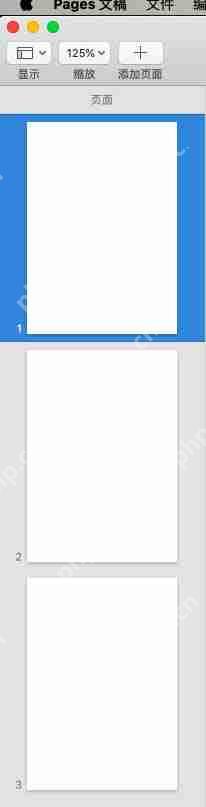 pages怎么查看文件总页数 查看文件总页数操作步骤分享