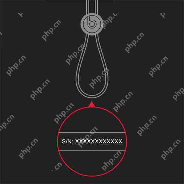 beats耳机序列号在哪里查