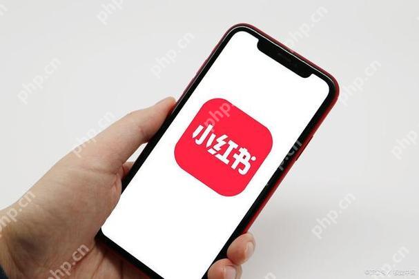 小红书怎么发相册视频 相册视频上传步骤分享