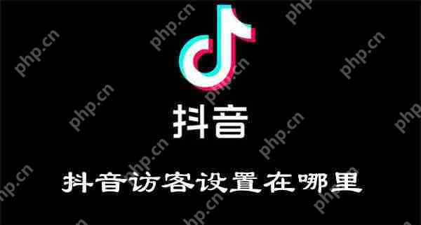 抖音访客设置在哪里