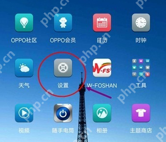 oppoa5通话设置在哪里_oppoa5通话设置方式一览