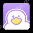 可以视频聊天的软件推荐