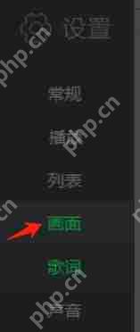 爱奇艺万能播放器怎么更改渲染模式？-爱奇艺万能播放器更改渲染模式的方法