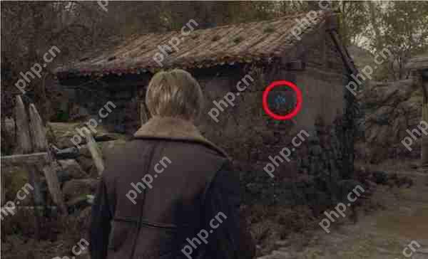 生化危机4重制版5个蓝球位置在哪-5个蓝球位置介绍