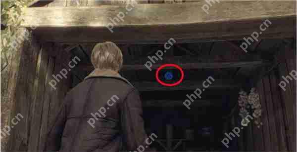 生化危机4重制版5个蓝球位置在哪-5个蓝球位置介绍