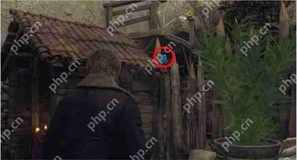 生化危机4重制版5个蓝球位置在哪-5个蓝球位置介绍