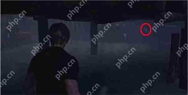 生化危机4重制版5个蓝球位置在哪-5个蓝球位置介绍