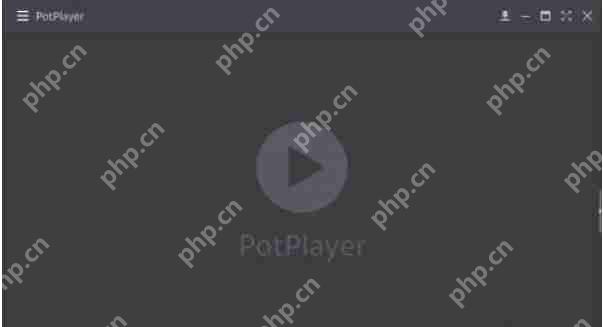 potplayer怎么关闭使用Xlnput-potplayer关闭使用Xlnput的方法