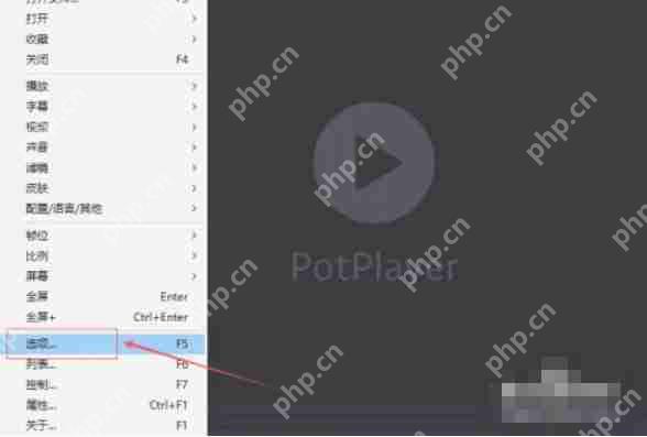 potplayer怎么关闭使用Xlnput-potplayer关闭使用Xlnput的方法
