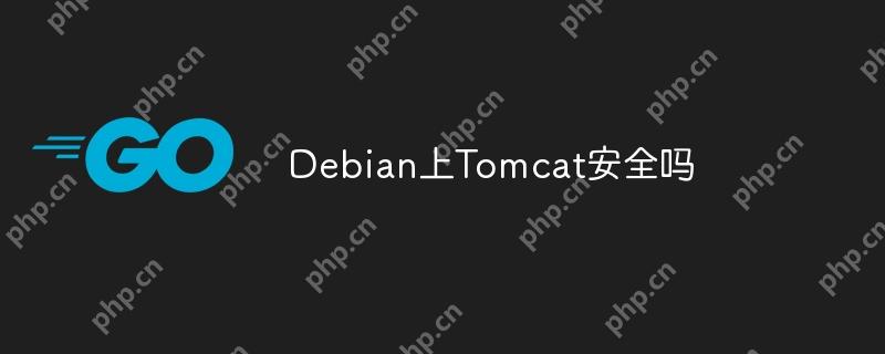 debian上tomcat安全吗
